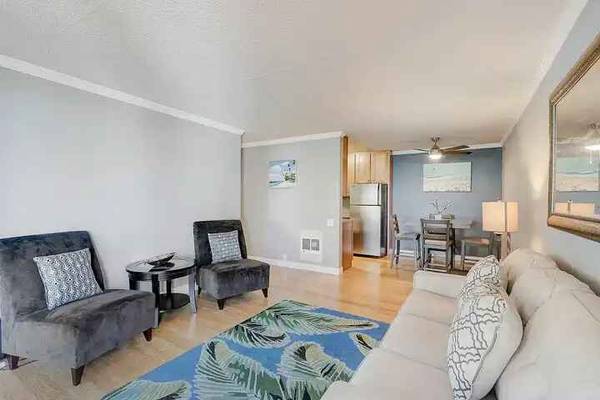Shoreline Apartments photo 5