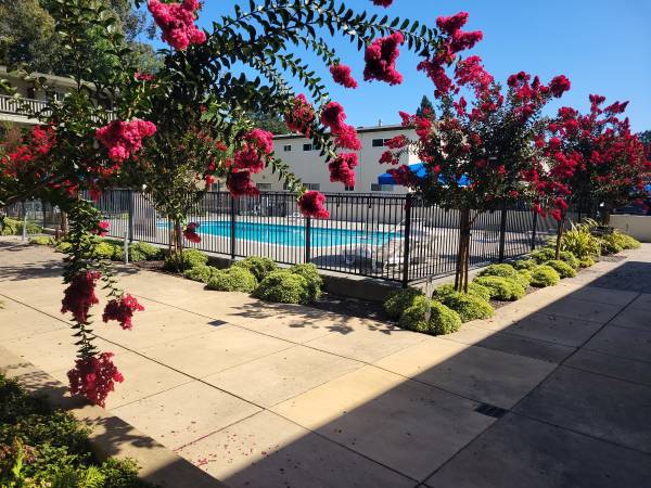 Apartments on & 1265 Pacific Avenue · Santa Rosa