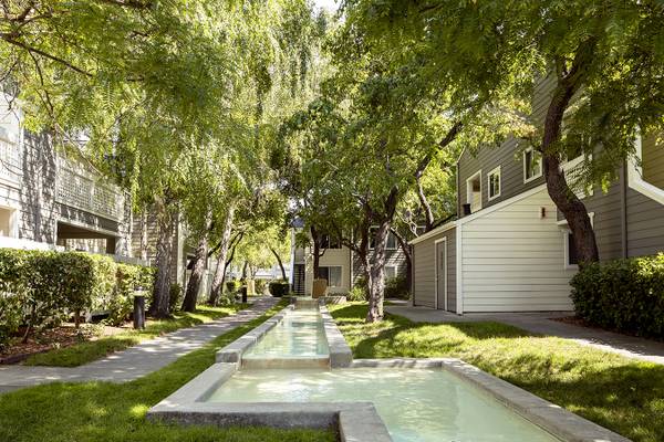 Apartments on Newhall St · Santa Clara photo 5