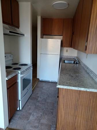 1BR/1BA Apartment · San Francisco photo 5