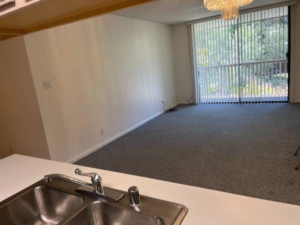 1BR/1BA Condo on Shelter Creek · Pacifica photo 5
