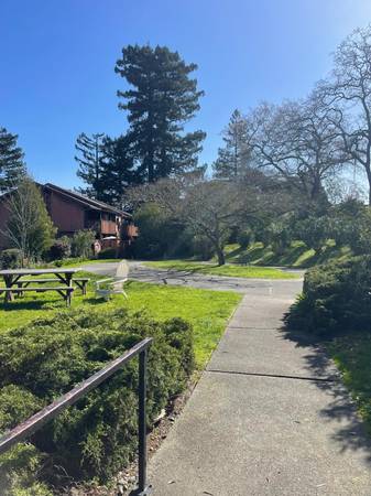 385 Murphy Ave, Sebastopol (Apartment) photo 2