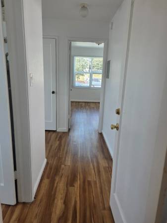 Apartments on Castro St · Albany photo 5