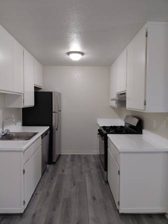 Birchwood Apartments photo 2