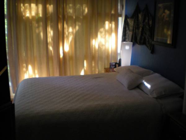 1BR/1BA Apartment · Lafayette photo 3