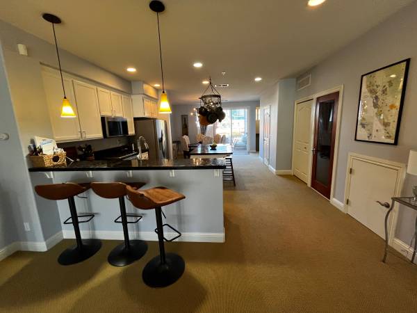 3BR/3BA Condo · Windsor photo 3