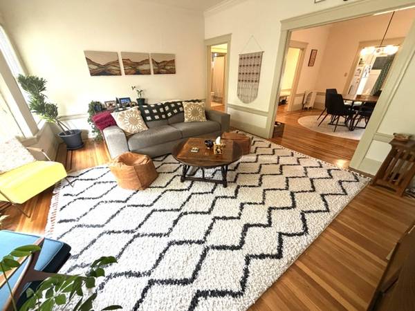 2BR/1BA Apartment on Palm Avenue · San Francisco photo 5