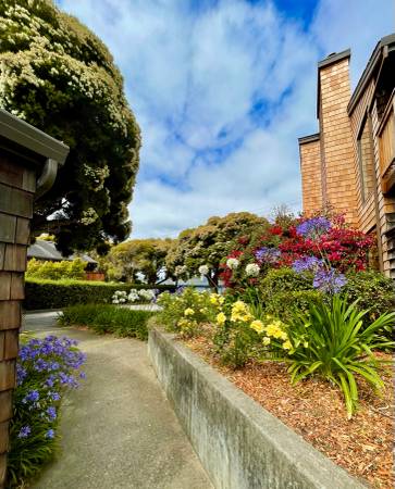 2BR/1BA Apartment on Capitola Ave · Capitola