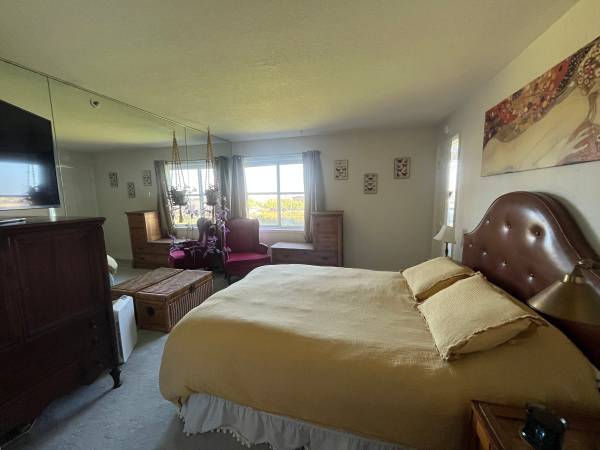 1BR/1BA Apartment · Richmond photo 2
