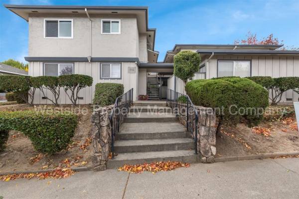 1BR/1BA Apartment on Towne Terrace · Los Gatos photo 3
