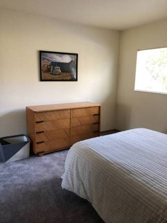 Apartments on Hearst Ave · Berkeley photo 3