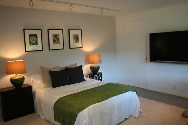 1BR/1BA Apartment · Mill Valley photo 3