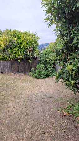 1BR/1BA Duplex · Oakland photo 5