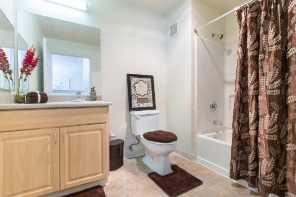 Apartments on N. White Road · San Jose photo 5