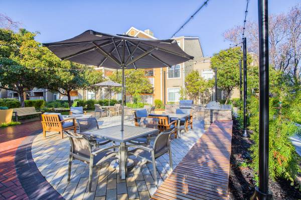 1BR/1BA Apartment · San Jose photo 2