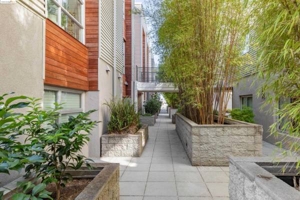 1BR/1BA Condo · Emeryville photo 5