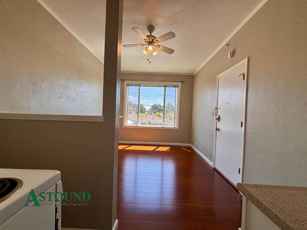 62 Oakes Blvd. #7 photo 5