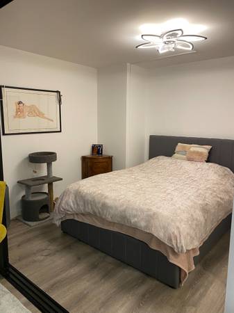 1BR/1BA Condo · San Francisco photo 3