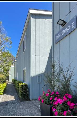 1BR/1BA Apartment · Santa Cruz photo 5