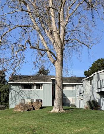 0BR/1BA Apartment · Santa Cruz photo 4