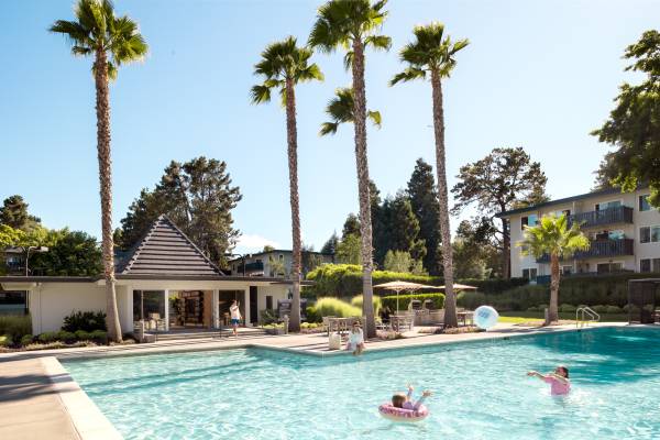 1BR/1BA Apartment · Sunnyvale photo 3