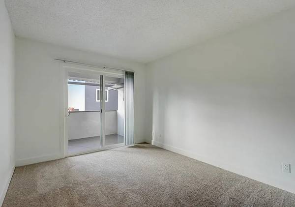 1BR/1BA Apartment · San Jose photo 4
