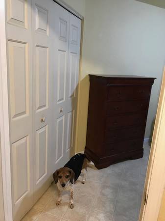 0BR/1BA Apartment · Concord photo 5