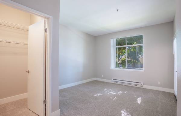 2BR/2BA Apartment · San Jose photo 5