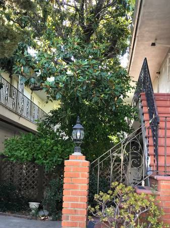 2BR/2BA Apartment · San Carlos photo 2