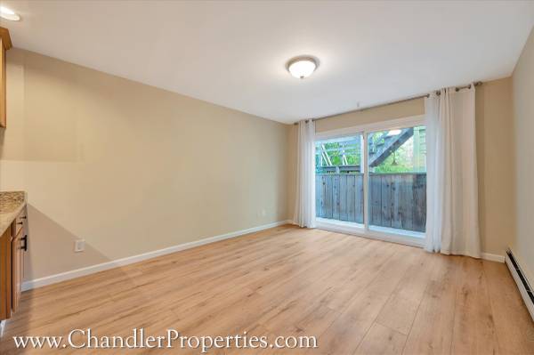 Cow Hollow/Pacific Heights photo 5