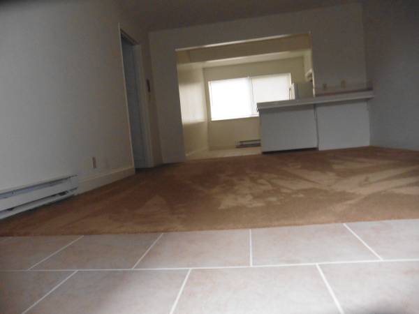 2BR/2BA Apartment · San Jose photo 5
