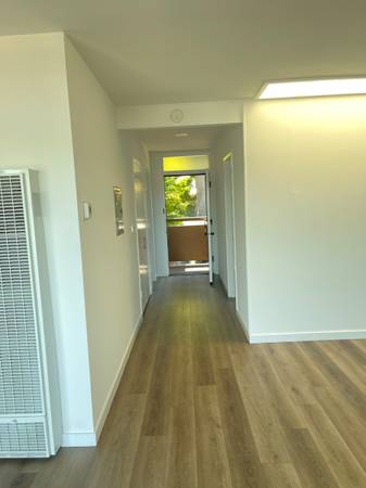 1BR/1BA Apartment on Harrison Ave Apt1 · Sausalito photo 4