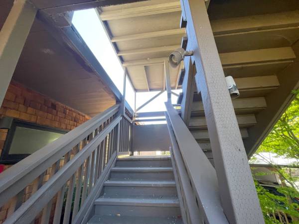 1BR/1BA Apartment on Harrison Ave Apt1 · Sausalito photo 3