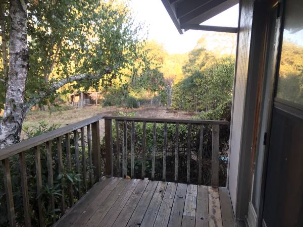 1BR/1BA Apartment · Sebastopol photo 5