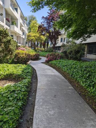 1BR/1BA Apartment on Albany Circle · San Jose photo 2