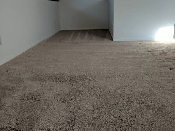 1BR/1BA Apartment · Berkeley photo 3