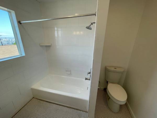1BR/1BA Apartment · New York photo 4