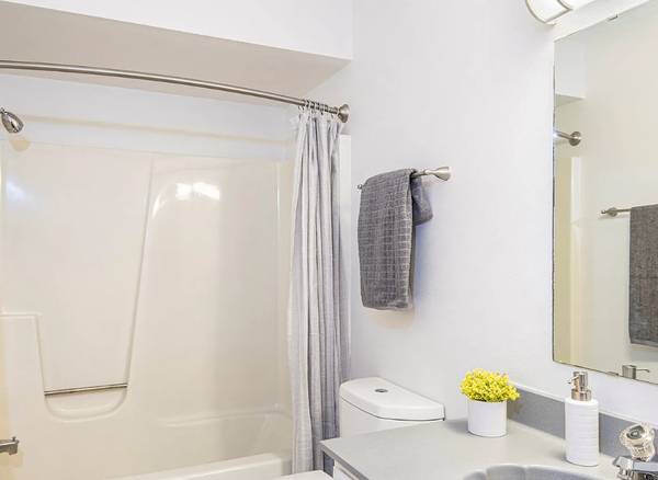 1BR/1BA Apartment · New York photo 3