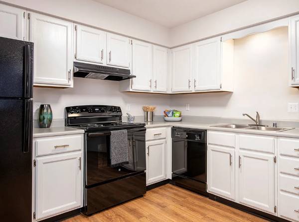 1BR/1BA Apartment · New York photo 2