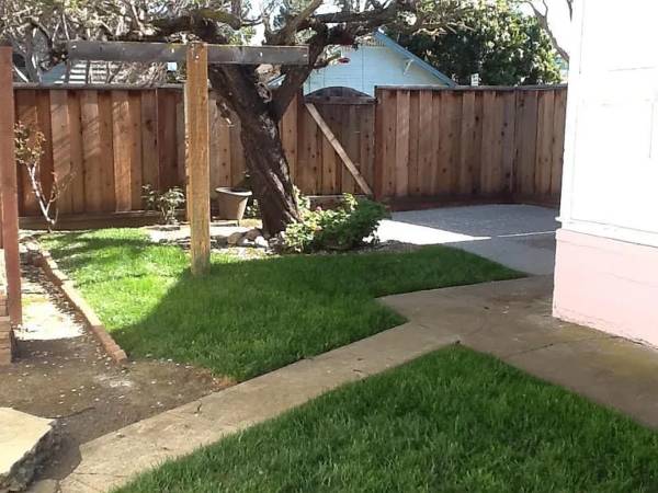 1BR/1BA Single Family House on Washington Ave · Sunnyvale photo 5