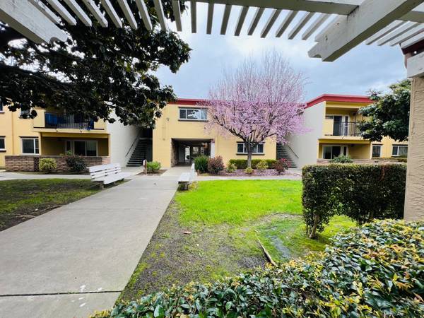 Apartments on Central Avenue · Fremont photo 2