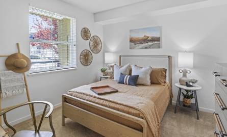 1BR/1BA Apartment · Milpitas photo 2