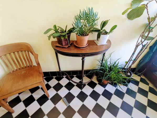 0BR/1BA Apartment · Berkeley photo 3