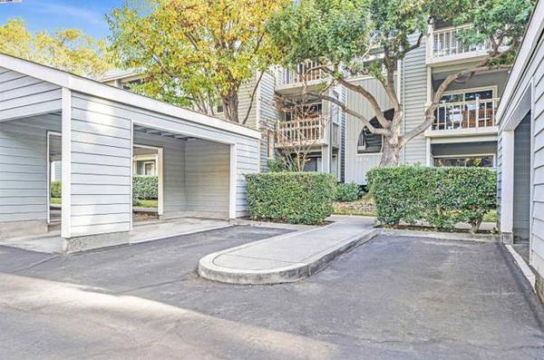 Condos on Oakwood Ter · Fremont photo 3