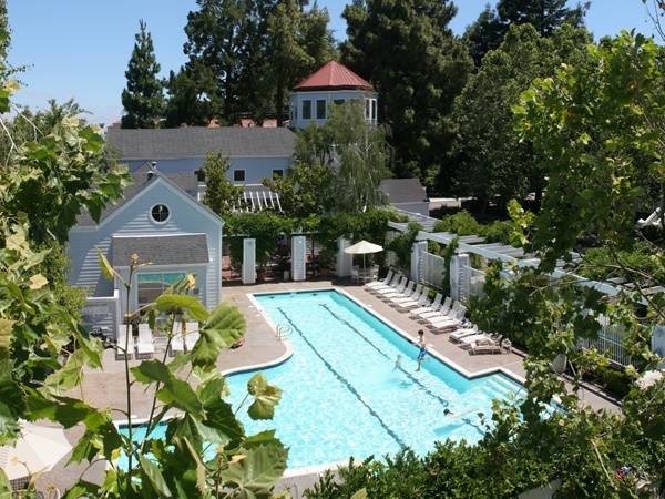 Apartments on Church St · Mountain View photo 4