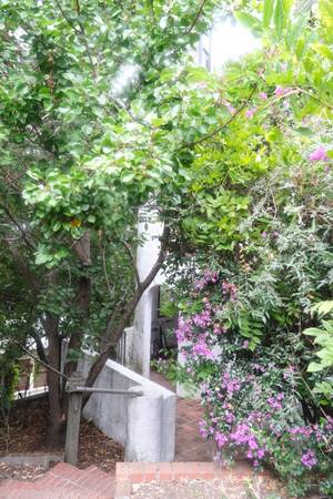 1BR/1BA In Law Adu · Berkeley
