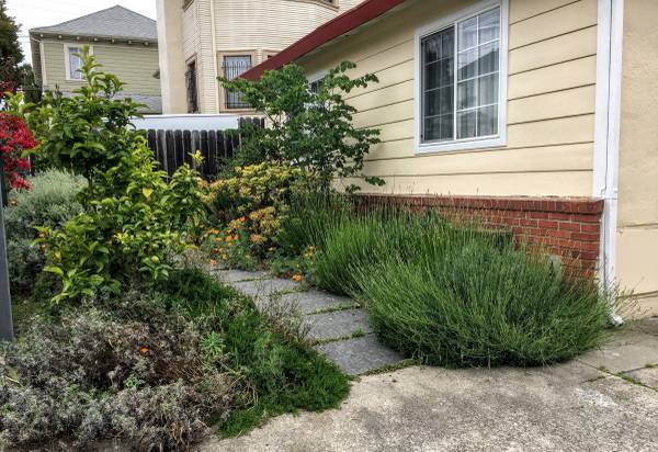 1BR/1BA Apartment · Oakland photo 2