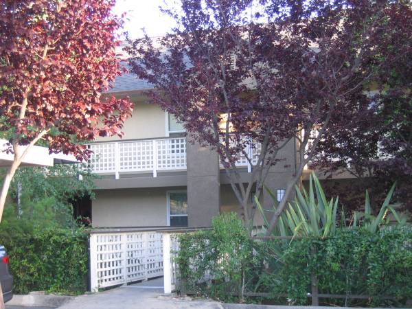 29599 Vanderbilt St photo 2