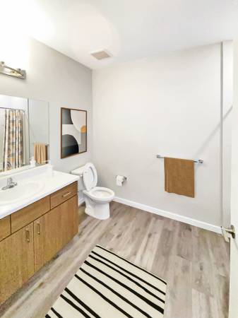 1BR/1BA Apartment · Fremont photo 5