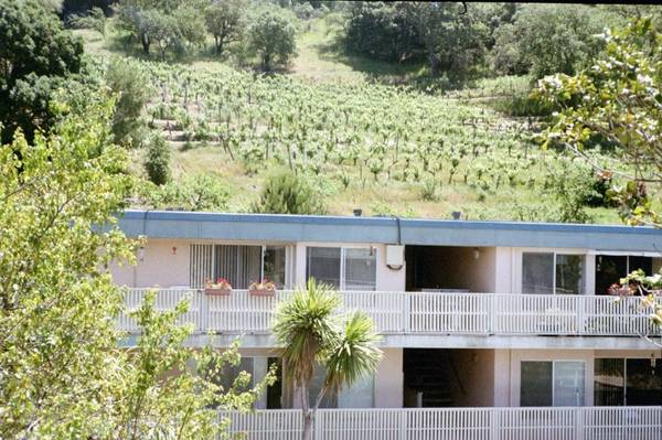 Vineyard's Edge & West Terrance photo 2